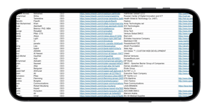 UAE TOP 500 CEO Email List